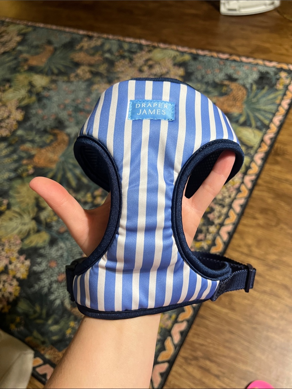 Draper James Blue & White Striped dog Harness